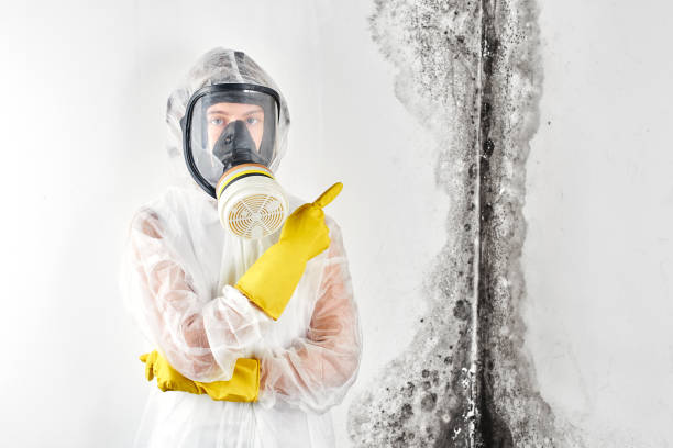 Best Residential Mold Inspection & Testing  in Bear, DE