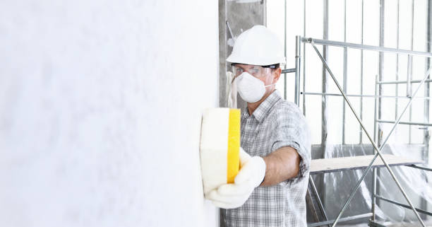 Environmental Consulting for Mold Prevention in Bear, DE