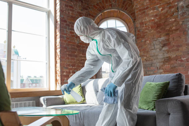 Why You Should Choose Our Mold Remediation Services in Bear, DE